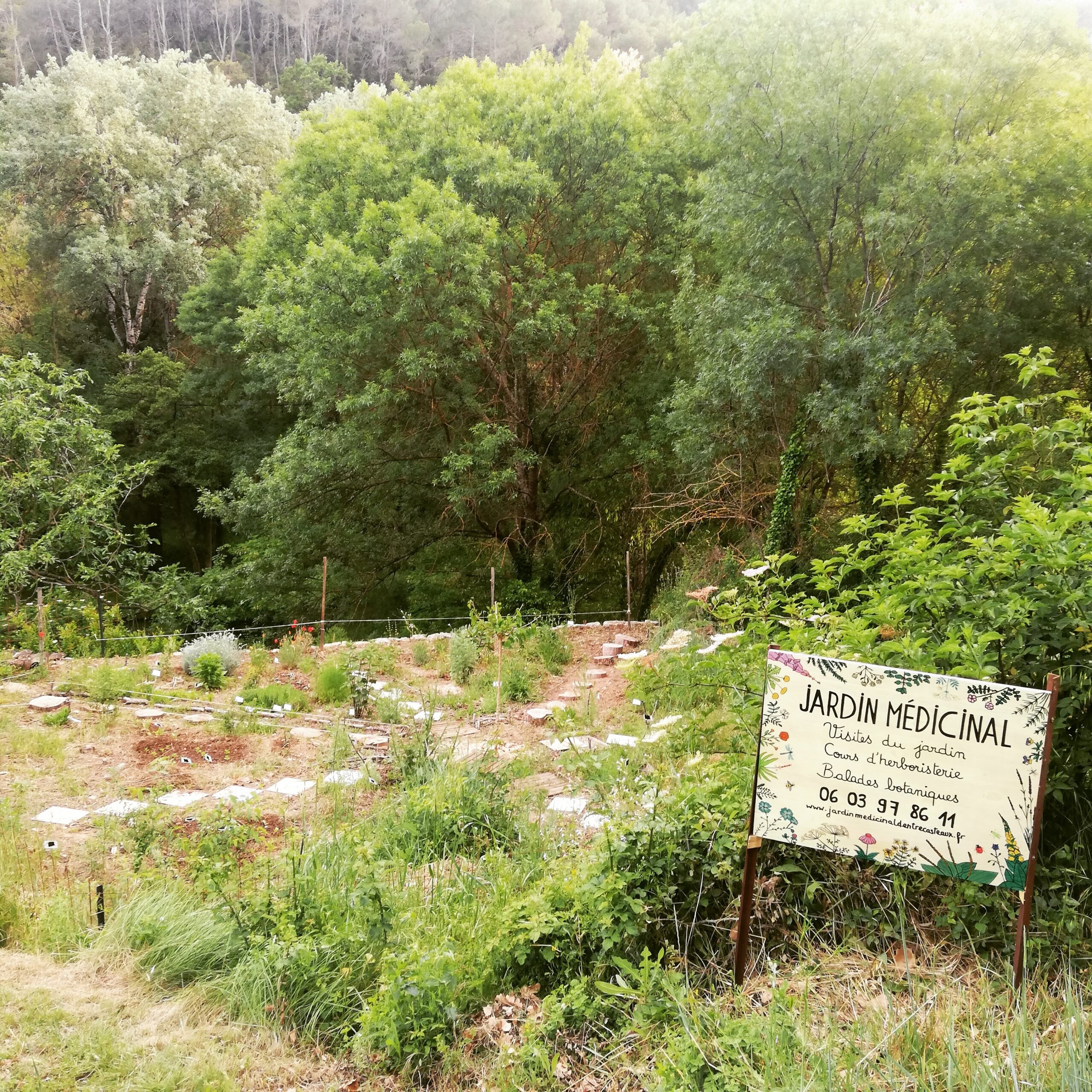 Jardin Médicinal d'Entrecasteaux